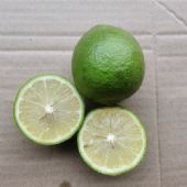 ����ʥ���顿�������а�������������4�����ֱ��������һ������