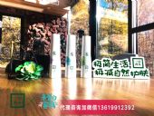 ������ľ���ջ��ʲô�Żݻ��������Ҫ����Ǯ��