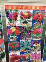 2018������ľ������Դ  �ܽ�����������