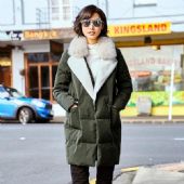 ������ռ�һ��1:1�ĸ߷������·����������У���Լʲô�۸�