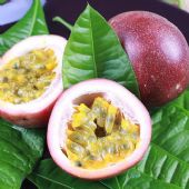 微商满天星百香果一手货源一件代发_最新微信