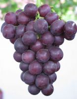 ΢�ź���ô��ˮ���������ռ���������ʵ��