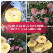 ǳ�Ĺ�԰�������湫˾������ǳ�ĺ��ú���΢�̴�����ʵ���࣡