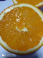 山东省微商食品特产代理货源网_山东省微商厂