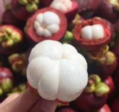 微商卖水果到哪里进货,微信卖水果的进货渠道