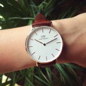 dw�߷��ֱ��Ա������򣬽����¼۸����Ǯһ���