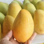 微商卖水果到哪里进货,普及下微信卖水果的进货渠道