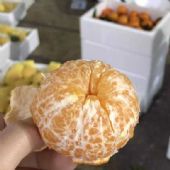 嘉盛果业水果店怎么加盟,揭秘下嘉盛水果产地