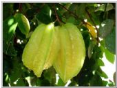 ������ˮ����������ȫ��΢��һ��ˮ����Դ���ʰ��ۺ�