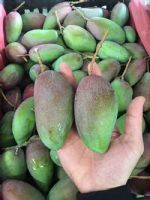 微商一手水果货源一手货源一件代发_最新微信