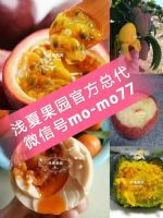 ǳĹ԰ûԴ𣿴ô