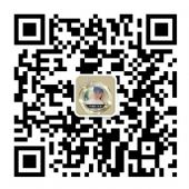 WQ����Ʒ����ô������Ч����ô��������Ǯ��