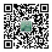 st��Ĥ����    st��Ĥ����΢��408720910