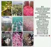 ����������ô׬Ǯ��������ô�û���