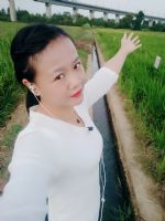 ������ľ�����̵ļ۸������ô��������