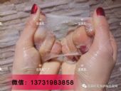 ��������Ĥ�����𣿶���Ǯһ�У�