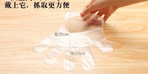 ���ʷ���һ�������׳���