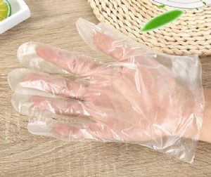 ��Ĥ�����Ķ�������