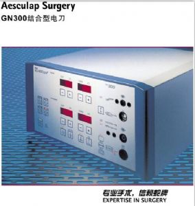 GN300絶