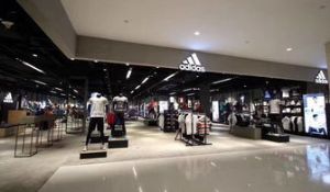 Ϳ˰˶ ԭһֻԴ Ʒʱ֤ д