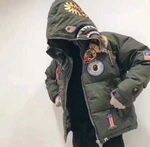 �߶���װ����΢�� һ�ֻ�Դ��װ΢�����ȵ���