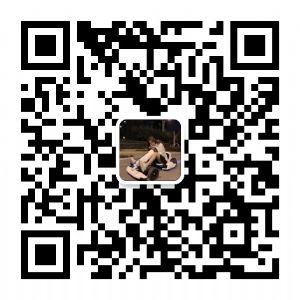 ���ݳ��Ʒ��ι���ֱ�� ֧��һ���������д���