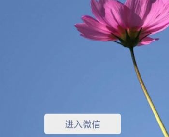 2019΢˵ôѯ΢˵