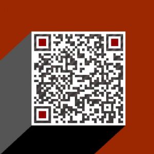 91Ʋô 91Ʋ׬Ǯ