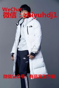 原单尾货TNF北面户外防水羽绒服批发代理一件代发